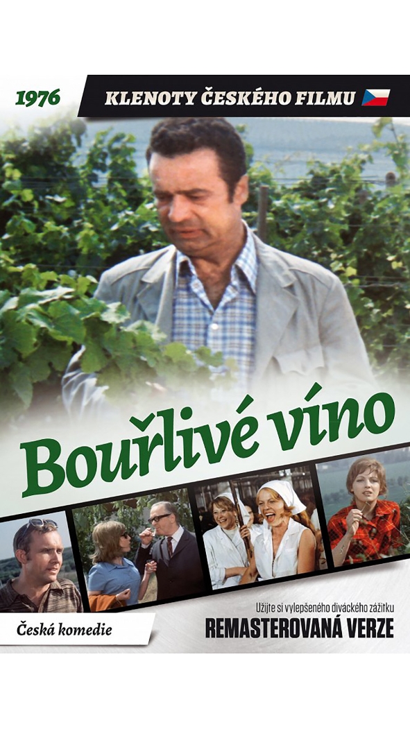 Bouřlivé víno