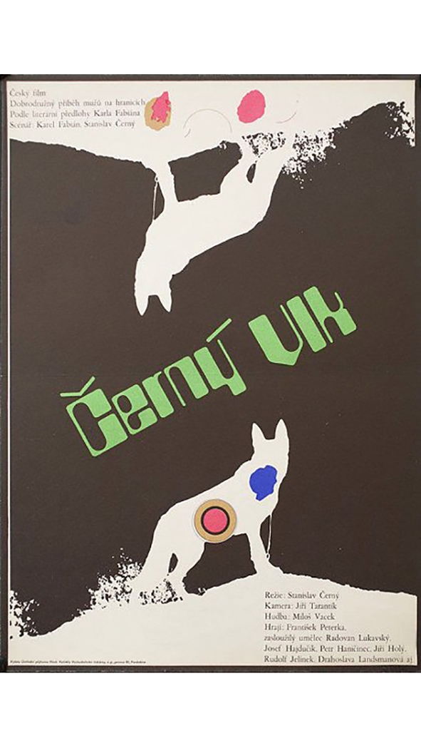 Černý vlk