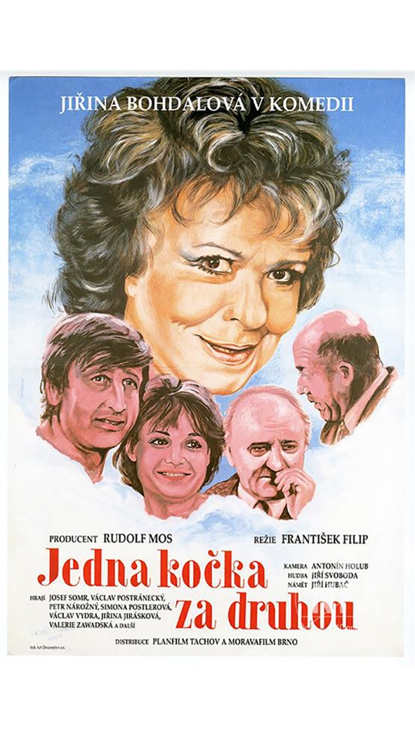 Jedna kočka za druhou