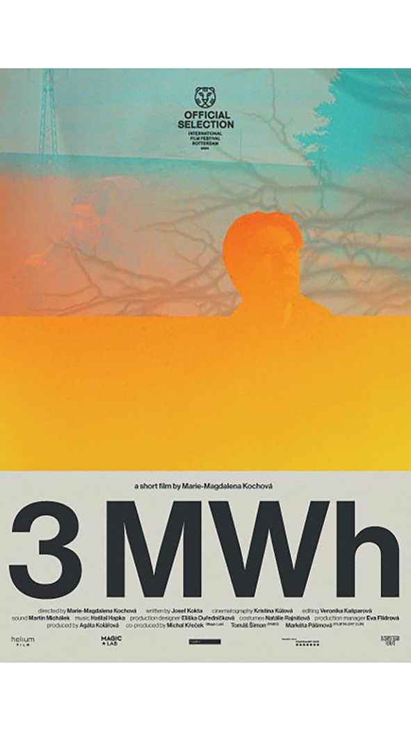 3 MWh