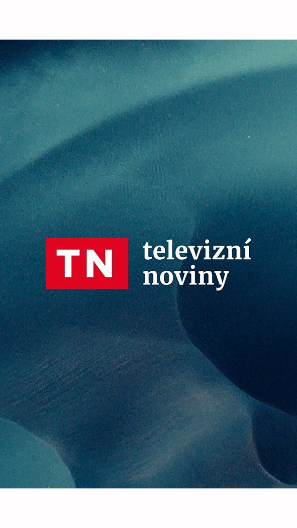 Televizní noviny