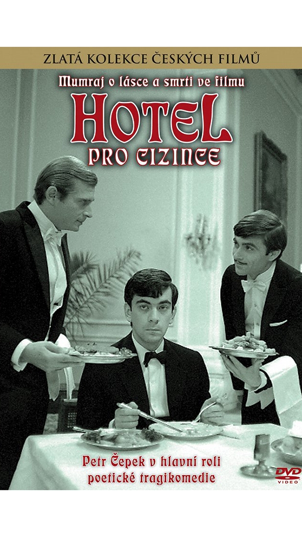 Hotel pro cizince