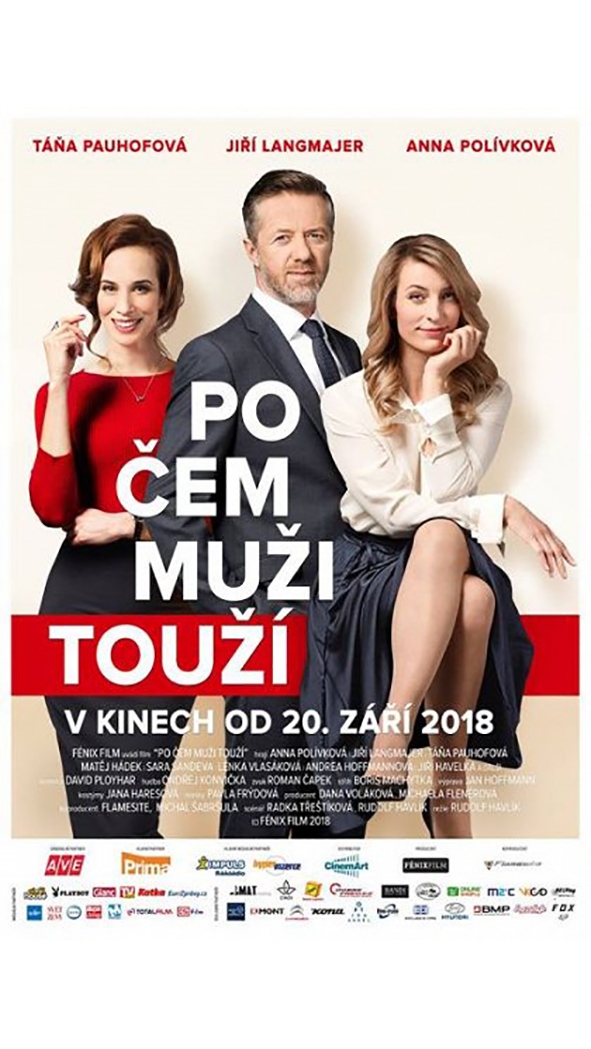Po čem muži touží