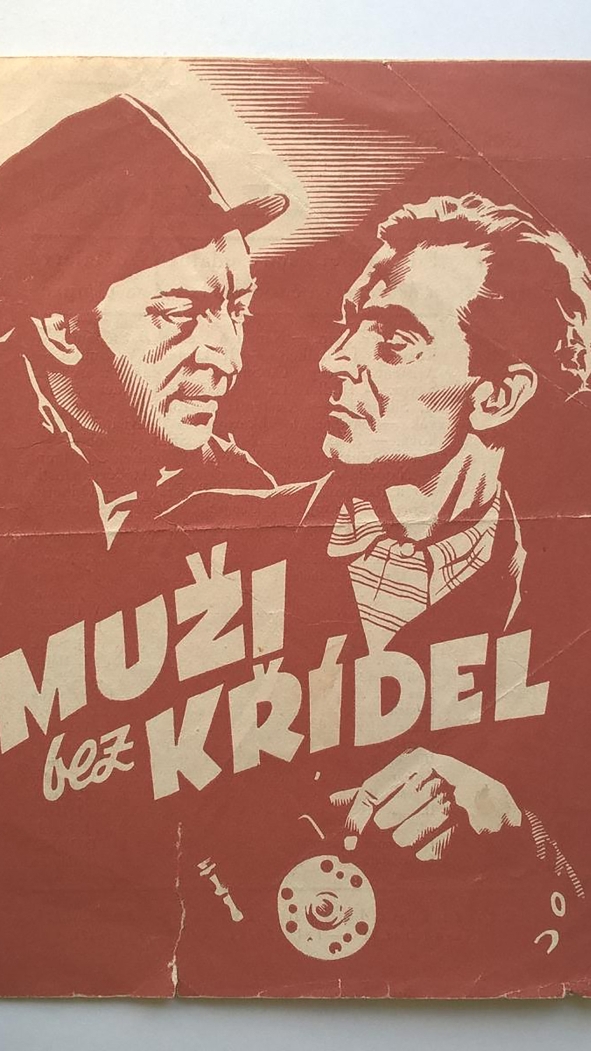 Muži bez křídel