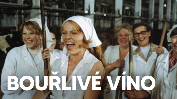 Bouřlivé víno
